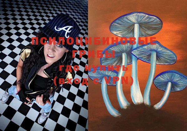 герыч Няндома