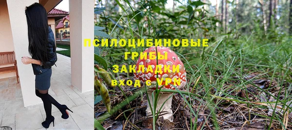 герыч Няндома